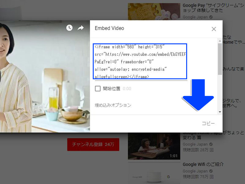 Embed Video ダイアログ